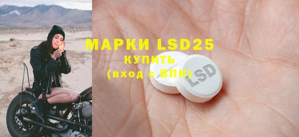 ешки Аркадак