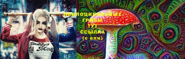 ешки Аркадак